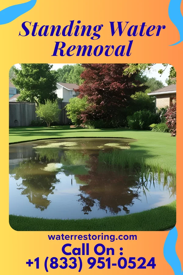 Standing Water Removal in Toledo, IL